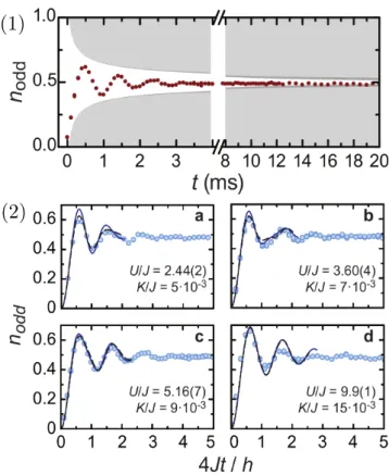 Figure 2.2: Relaxation and equilibration processes in the far-from-equilibrium dynamics of a