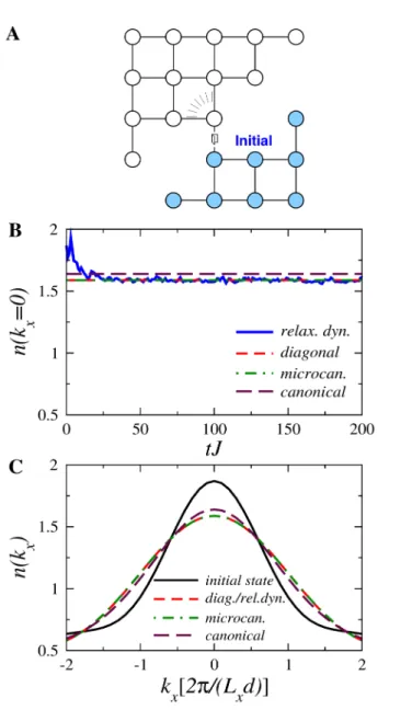 Figure 2.3: Relaxation towards a thermal equilibrium state. (a) Two-dimensional lattice on which 5