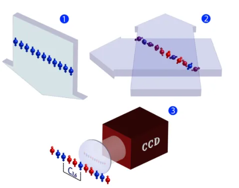 Figure 2.7: Experimental sequence for the investigation of the quench dynamics in the long-range XY