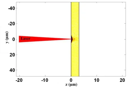Figure 2.8 Représentation générale de la simulation réalisée au moyen de PICLS 2D. 