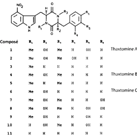Figure 3. Structure des thaxtomines. Modifiée de King 2001. 