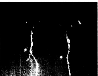 Figure 6. Croissance in vitro. Germination  in vitro de graines Col 0 et 9F32 après 7 jours  en absence de TA