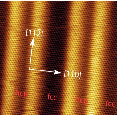 Figure 2.15: STM image of the corrugation lines of the Au(111) reconstructed surface. 12×12 nm 2 ; V