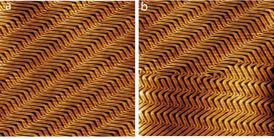 Figure 2.17: Large scale STM images of the 22× √ 3 herringbone surface reconstruction of the Au(111) surface