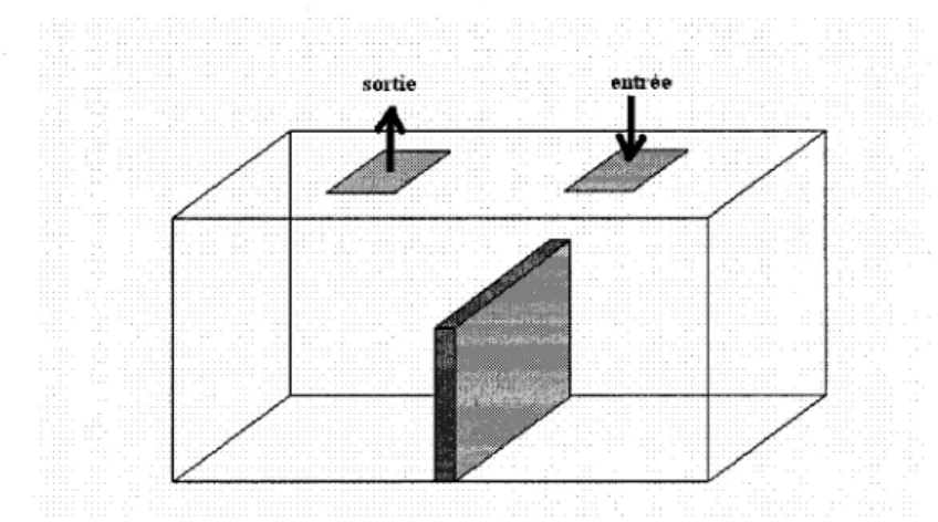 Figure 1.3 Cavite de Posner. 