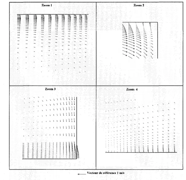 Figure 2.17 Les zooms du champ de vitesse dans le mi-plan. 