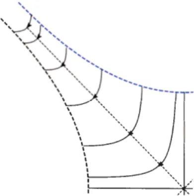 Figure  2.3  Flot du champ  de  vecteur 