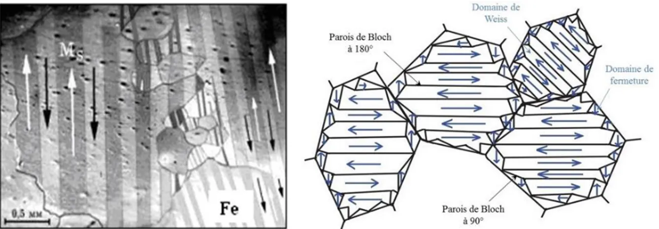 Figure 1.9 : Image par effet Kerr (gauche) et représentation schématisée (droite) des domaines de Weiss et parois de Bloch  composant les grains élastiques d’un milieu ferromagnétique