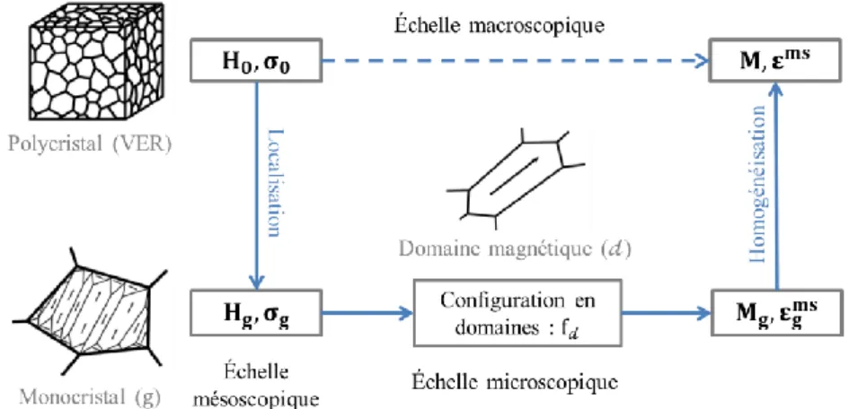 Figure 2.28 : Stratégie de modélisation multi-échelle du comportement magnéto-élastique                                                        