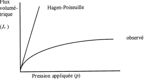 Figure 6. Comparaison entre les flux volumetriques observe et calcule par I'equation de Hagen-Poiseuille pour une solution de polymere.