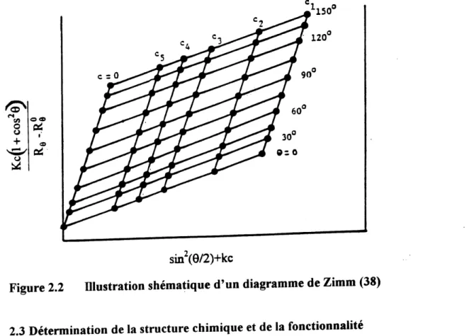 Figure 2.2 Dlustration shematique d'un diagramme de Zimm (38) 2.3 Determination de la structure chimique et de la fonctionnalite