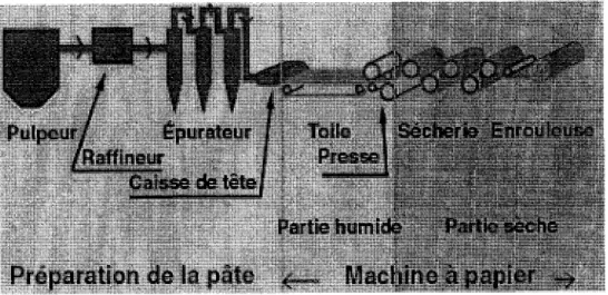 Figure 1. Schema de fabrication du papier, source : (littp://cerig.efpg.inpg.fr) 