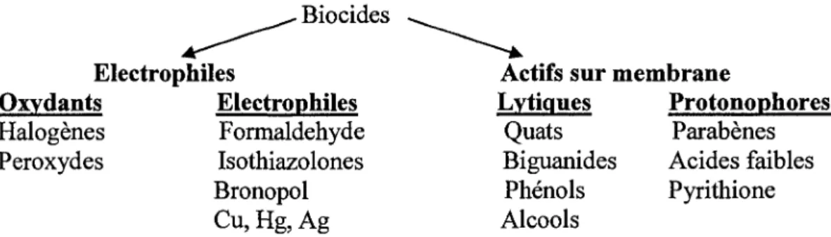 Fig. 2. Mode d'action des biocides. Source; Chapman et al, 2003 