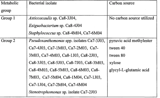 Table 3 Metabolic groups of bacteria isolated from the machine headboxes of a 