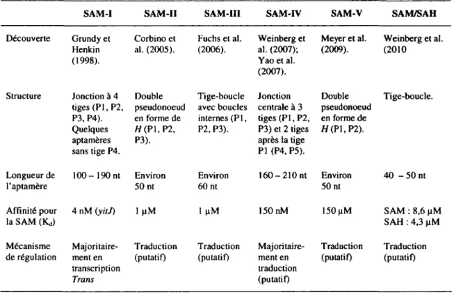 Tableau 1.6. Résumé des caractéristiques des sous-classes de riborégulateurs  SAM 