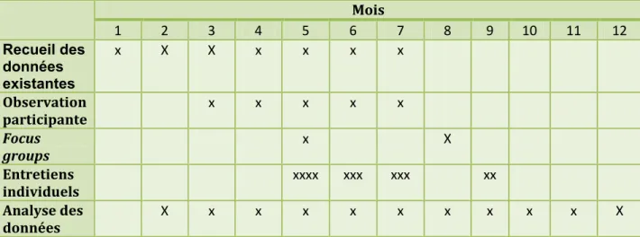Tableau 4 : Chronologie des collectes de données et de l’analyse des données   Mois  1  2  3  4  5  6  7  8  9  10  11  12  Recueil des  données  existantes  x  X  X  x  x  x  x  Observation  participante  x  x  x  x  x  Focus  groups  x  X  Entretiens  in