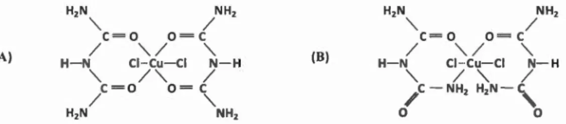 Figure 1.8  Structures  des  complexes  du  biuret  avec  cuivre (II).  (A)  Comp l exe  Cu(NH2CONHCONH2)2Ch,  (B)  Complexe K 2 [Cu(NH 2CO NHCONH 2)2 ] 