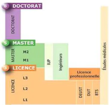 Fig. 2 : LMD : Axes d’enseignement 