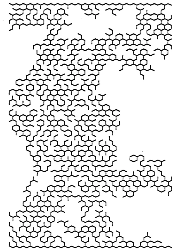 Figure 2.2: Le plus grand amas du réseau précédent est ici seul représenté. Le réseau  est au seuil de percolation effectif