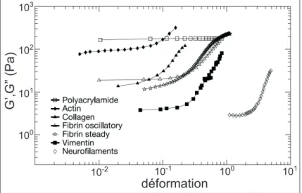 Figure 2.2  Evolution du module de cisaillement avec la déformation des polymères biologiques et un polymère synthétique d'après Storm et al