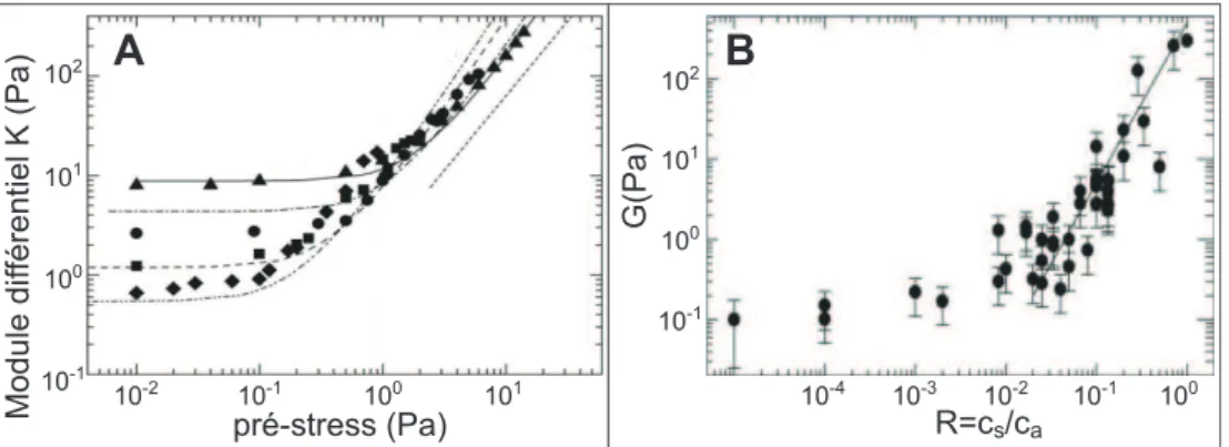 Figure 2.13  A : Variation du module de cisaillement diérentiel en fonction de la pré-contrainte pour des concentrations d'actine allant de [act] = [29.4 − 8.33] µM et R = 0.03 ; B Variation du module de cisaillement à faible pré-contrainte en fonction d