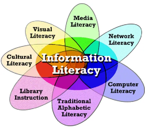 Figure 1. La fleur de l’information literacy 6
