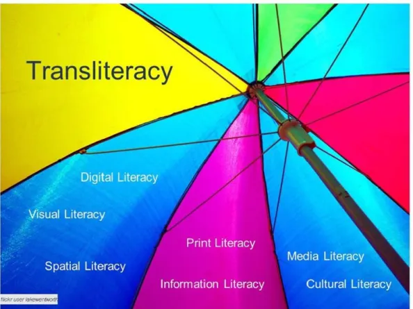Figure 3. Le parapluie de la translittératie 19