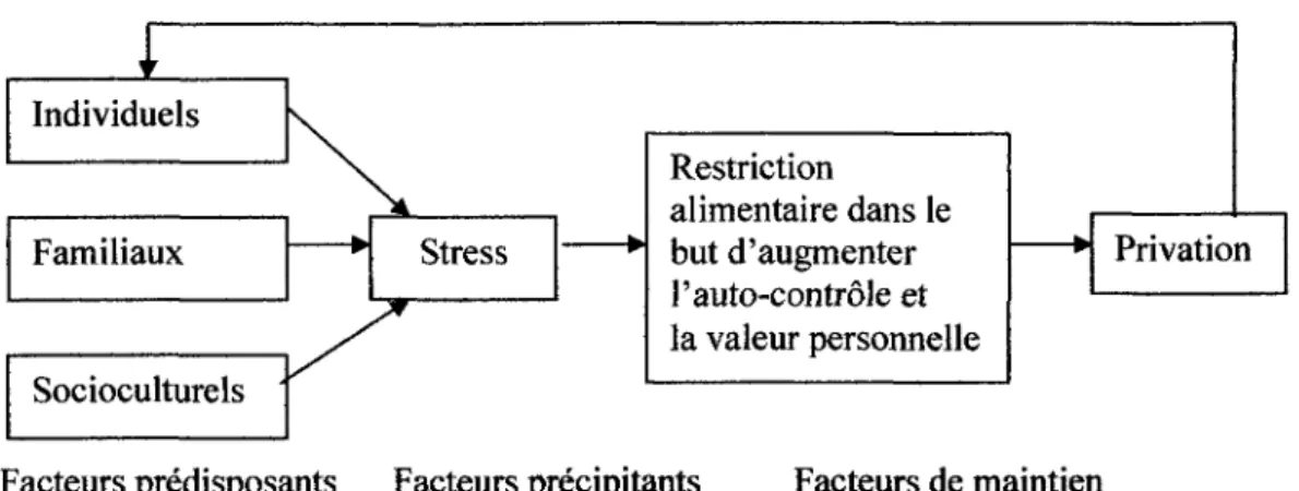 Figure 1. Differents facteurs associes a I'anorexie mentale selon Garner (1993,  2004)