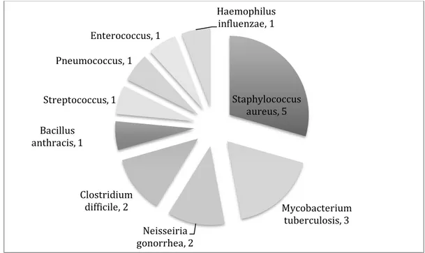Fig. 3 : répartition des bactéries citées (en nombre d’occurrences) 29