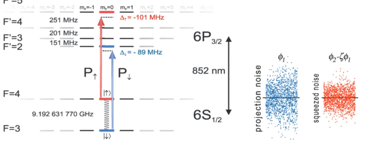 Fig. 2. Experimental setup. (A) An ensemble of ∼10 5 Cs atoms cooled to
