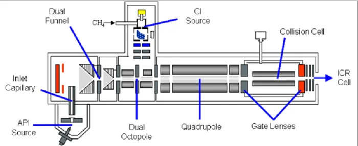 Figure  1.6:  A  Schematic  representation  of  an  electron  injection  system  into  an  ICR  cel  for  electron  capture dissociation experiment