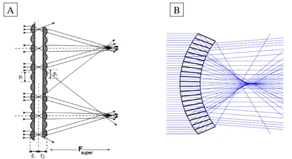 Fig. 2.17 – Illustration de quelques exemples de micro-systèmes s’inspirant de la vision des insectes, (A) superlentille de Gabor s’inspirant de l’œil à facettes superposées réfractif [47], (B) système s’inspirant de l’œil à facettes superposées réfractif 