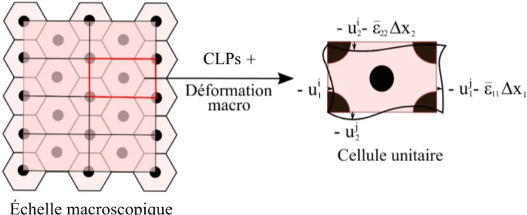 Figure 3.2 Définition des conditions aux limites périodique (CLPs) sur la cellule unitaire en 2D soumise à une déformation macroscopique.