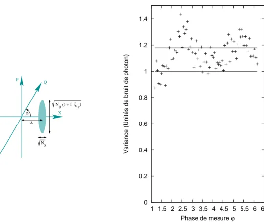 Fig. 7.3: À gauche : représentation du bruit de phase dans l’espace des phases. Selon la quadrature X (choisie arbitrairement), notre signal est limité au bruit de photon de variance N 0 