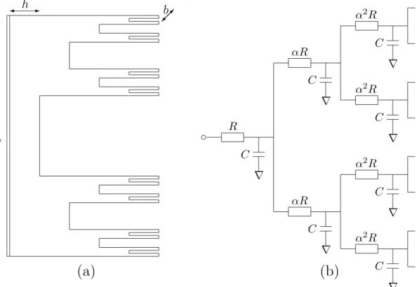 Fig. 1.10 – Mod`ele de Liu de pores hi´erarchiques : (a) profil de l’interface ´electrode- ´electrode-´electrolyte obtenue par la proc´edure it´erative (n = 2 branches sont apparues `a chaque ´etape de branchement dont les tailles sont α = 3 fois moins de 