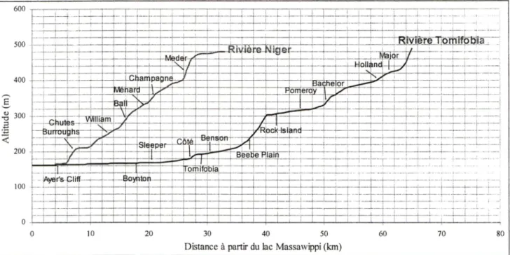 Figure 2  :  Profil en long des rivières Tomifobia et Niger
