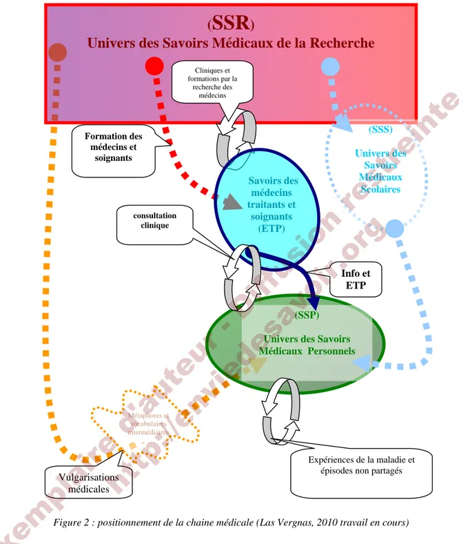 Figure 2 : positionnement de la chaine médicale (Las Vergnas, 2010 travail en cours) 