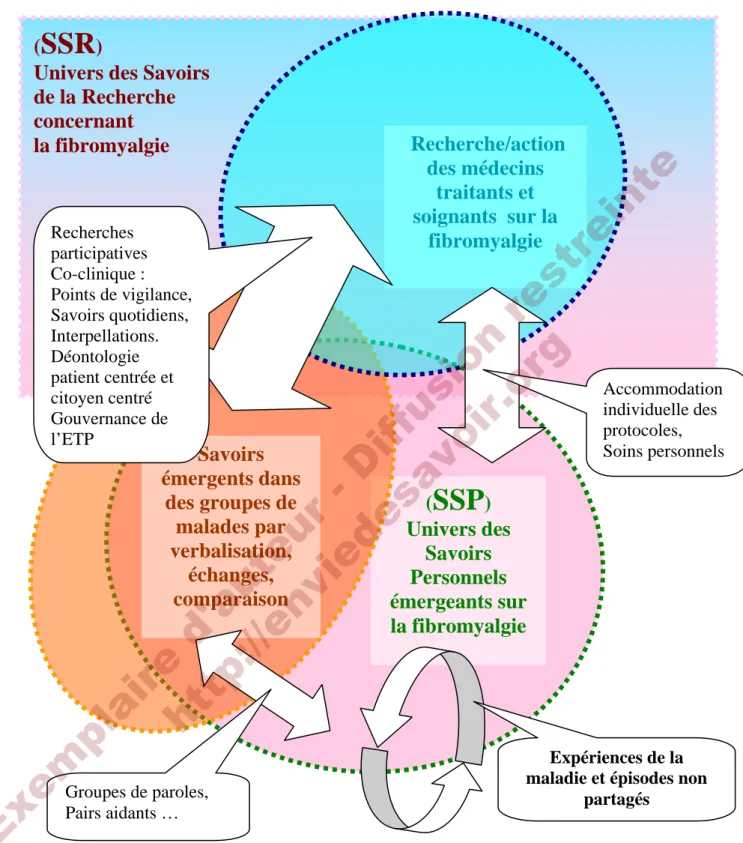 Figure 4 : interactions de savoirs concernant la fibromyalgie  