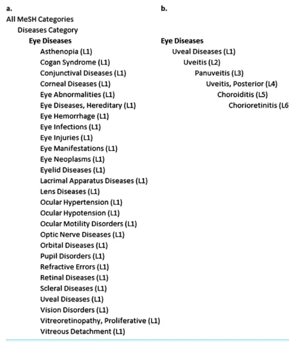 Figure 1 (A) MeSH term “Eye Diseases” and the 27 MeSH terms located just one level beneath