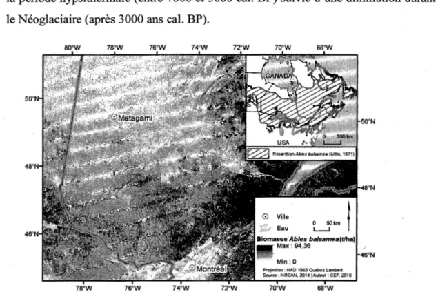 Figure  1.1  Répartition de la biomasse de sapin en tonnes par hectare (t/ha) au Québec  (Beaudoin et  al.,  2014)