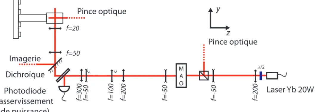 Figure 1.26: Montage optique du faisceau vertical du piège dipolaire croisé.