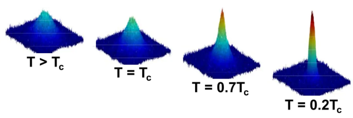 Fig. 3.7 – Images par absorption d’un gaz d’atomes de Rubidium lors de la transition de phase de condensation