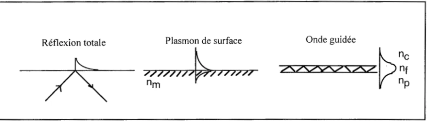 Figure 1-3  :Représentations des  ondes de  swface adaptées  à  la  détection  de  variation  d'indice  dans  un  milieu  extérieur  aqueux