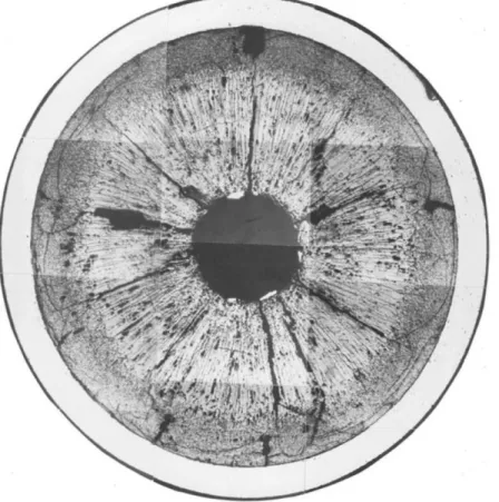 Figure 1.6 Ű Microstructure of a fast reactor pelletized MOX fuel pellet (Welland, 2012)