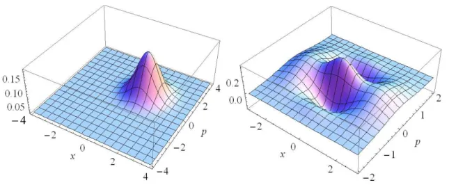 Figure 1.2 { Allure des distributions de Wigner associees a une fonction d'onde gaussienne et a une somme coherente de fonctions d'onde gaussiennes formant un \chat de Schrodinger&#34;