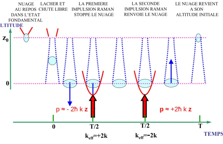 Figure 2.2 { Evolution du condensat au cours d'un cycle. Les deux impulsions Raman constituant le miroir sont successives et supposees ici quasi-simultanees et realises a l'instant t = T=2.