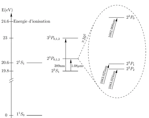 Fig. 2.1 – Niveaux d’´energie de l’ 4 He. Le niveau 2 3 S 1 est un niveau m´etastable de tr`es grande