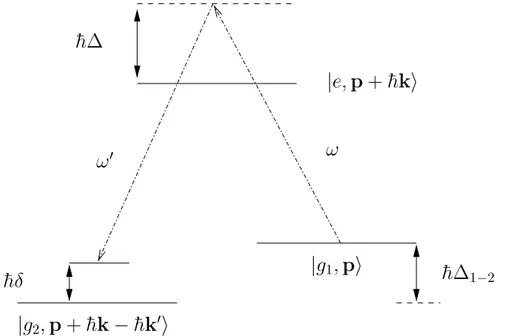 Fig. 3.1 – Principe de la diﬀusion Raman. La population d’un niveau d’´energie |g 1 i est