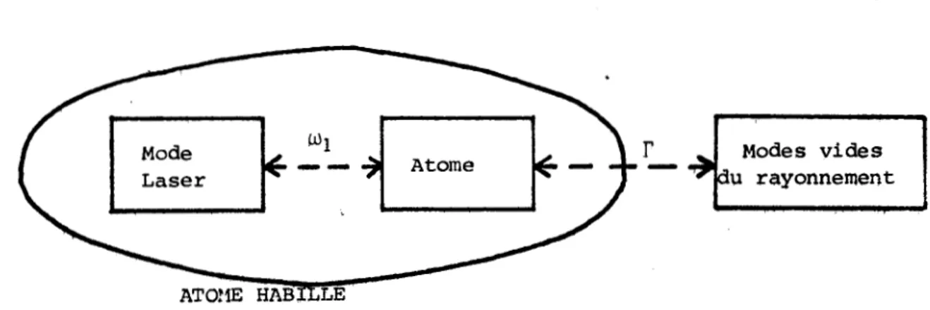 FIGURE  14  Les  deux  couplages  auxquels  est  soumis  un  &lt;1tome  irradié  par  un  faisceau  laser  monochromatique 