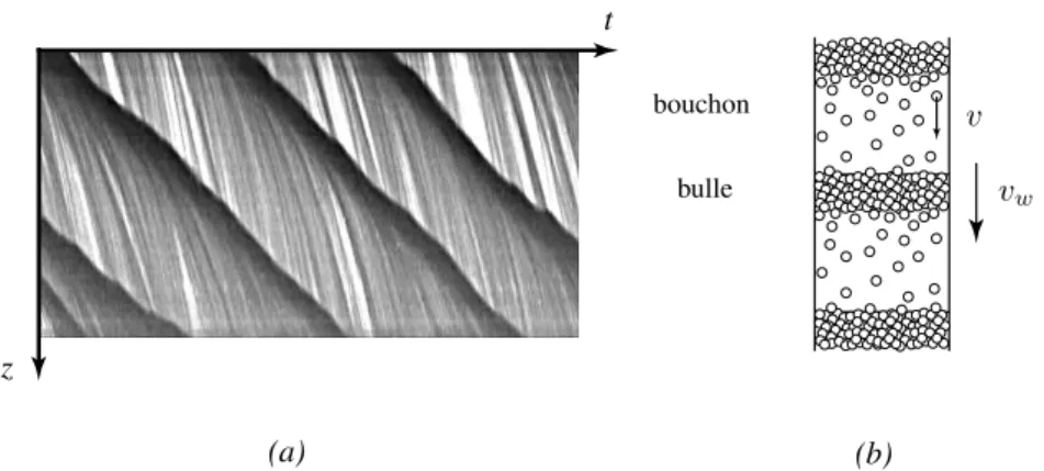 Fig. 2.5 – (a) Zoom d’un diagramme spatio-temporel du r´egime d’ondes de den- den-sit´e mettant en ´evidence la chute des grains ` a l’int´erieur des bulles